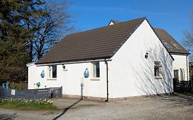 Willowdale B&B